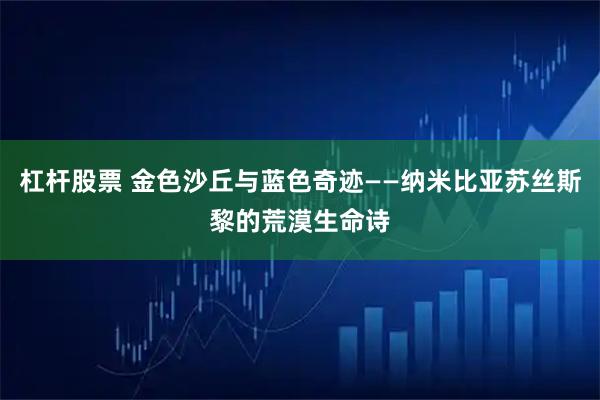杠杆股票 金色沙丘与蓝色奇迹——纳米比亚苏丝斯黎的荒漠生命诗