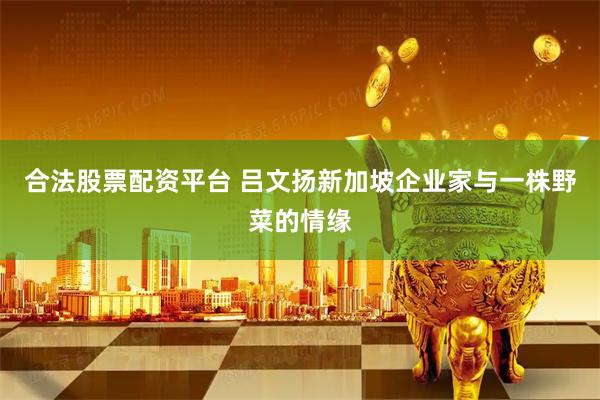 合法股票配资平台 吕文扬新加坡企业家与一株野菜的情缘
